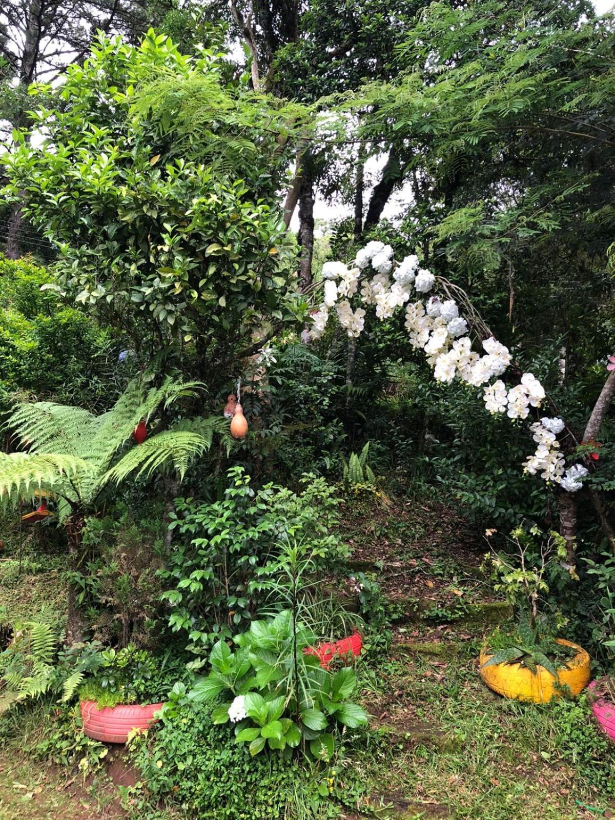 Recanto Familia Weiss Gramado Kültér fotó